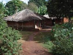 malawi houses made house housing flickr thatched roof